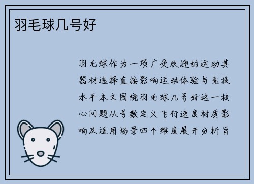 羽毛球几号好